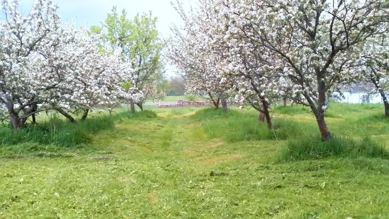 Safar Residence Hrachoviste Εξωτερικό φωτογραφία